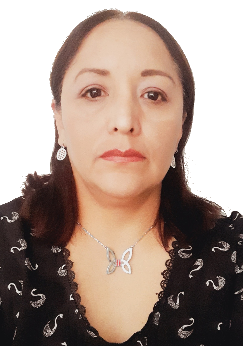 Visión